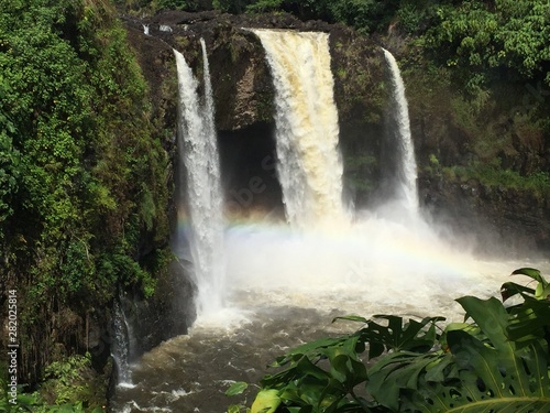 waterfall in forest