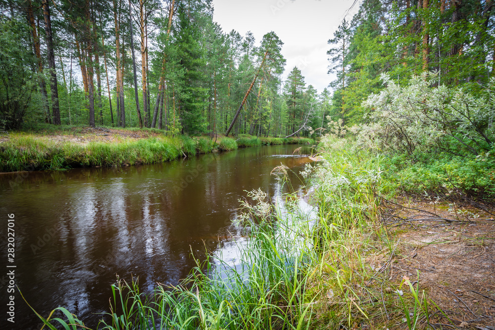 Black river flowing through dense part of forest. Black river flowing through dense part of forest.