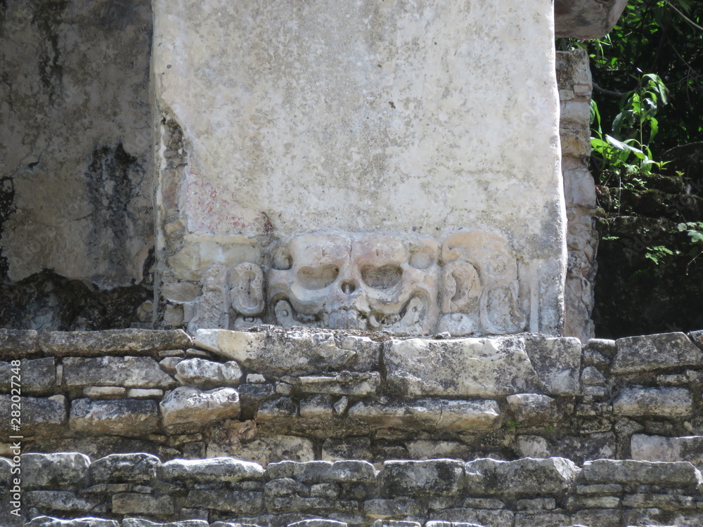 Skull Maya