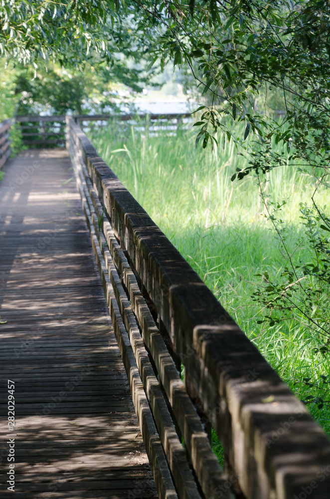 Woman wih a backpack walking on a wooden bridge under willows