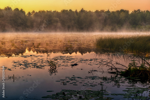Mglisty poranek nad jeziorem © Chris Jott