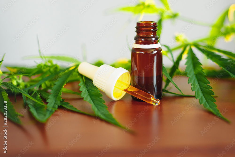Cannabidiol CBD oil with a pipette on background of marijuana, hemp oil extracts in jar. Medical marijuana products including cannabis leaf, alternative medicine Cannabidiol CBD oil with a pipette on background of marijuana, hemp oil extracts in jar. Medical marijuana products including cannabis leaf, alternative medicine