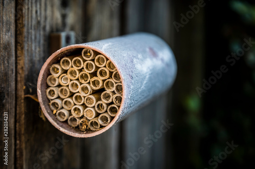 Bilde på lerret mason bee house
