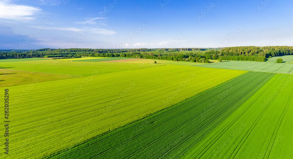 Landschaft mit grünen Feldern, Bayern, Deutschland