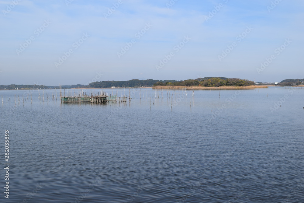 牛久沼(うしくぬま)/ 牛久沼は小規模な漁業のほか、その水は主に農業用水として活用されています。また、週末などは多くの釣り人たちで賑わっています。沼に近い牛久市と同じ名前ですが、全域が龍ケ崎市の区域内です。 牛久沼(うしくぬま)/ 牛久沼は小規模な漁業のほか、その水は主に農業用水として活用されています。また、週末などは多くの釣り人たちで賑わっています。沼に近い牛久市と同じ名前ですが、全域が龍ケ崎市の区域内です。