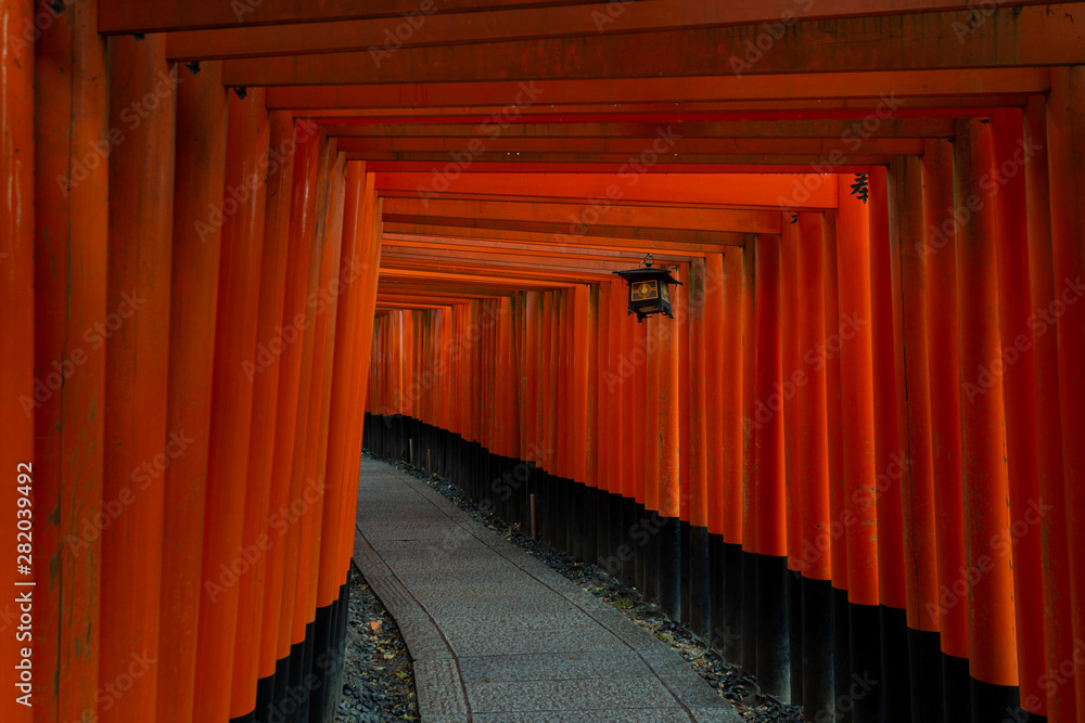 Fototapeta premium Orange Torii gates of Fushimi Inari Taisha, Kyoto, Japan