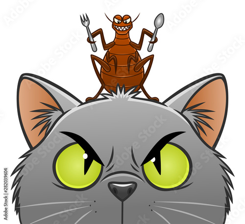Flea going to eat the cat