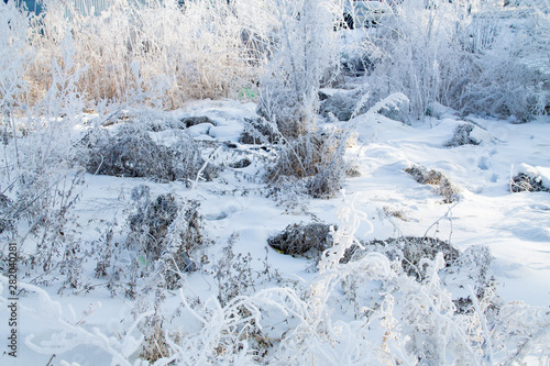 frosted trees and grass and heavy snow in winter park as in fairy tales