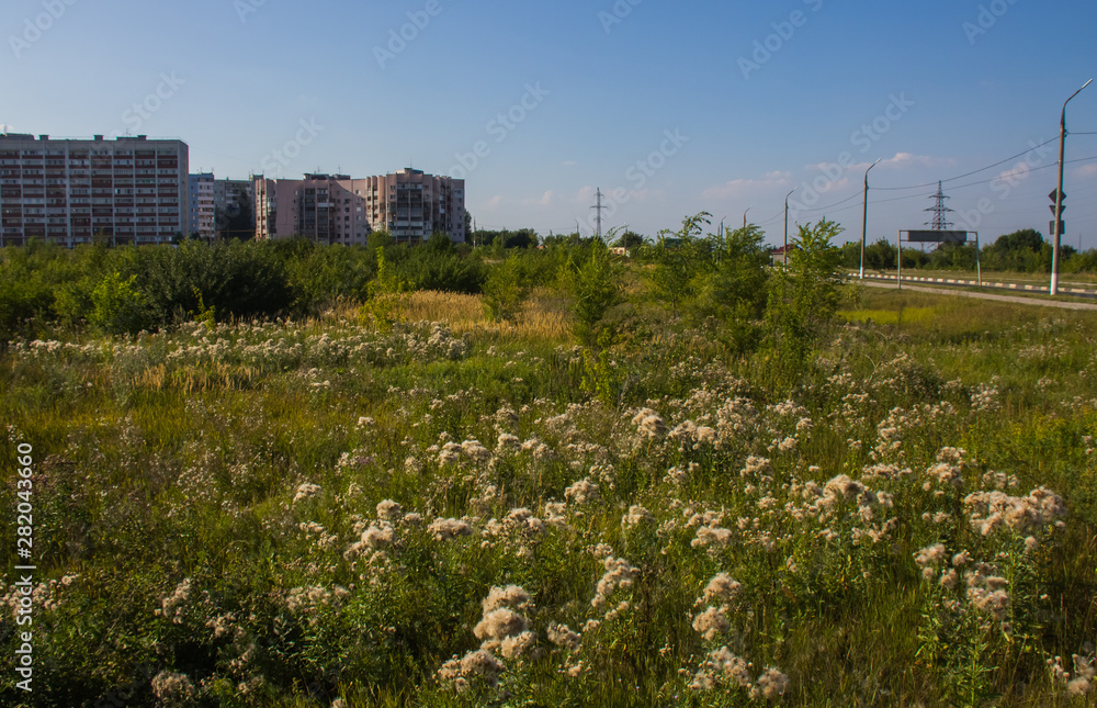 Endless fields before residential development in Novokuybyshevsk