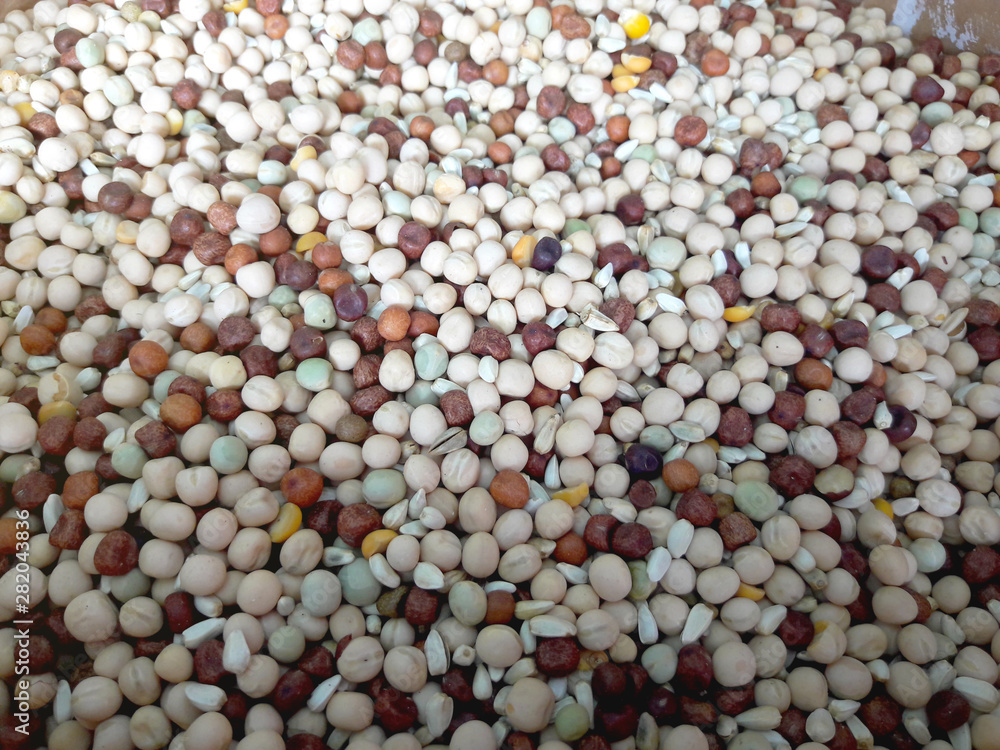 seed mixture background. Pet food for birds. seed mixture background. Pet food for birds.