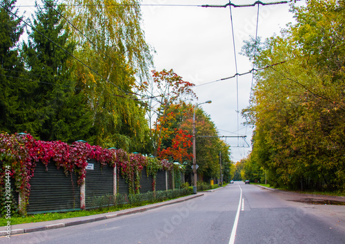 The road leading from the Serebryany Bor forest reserve photo