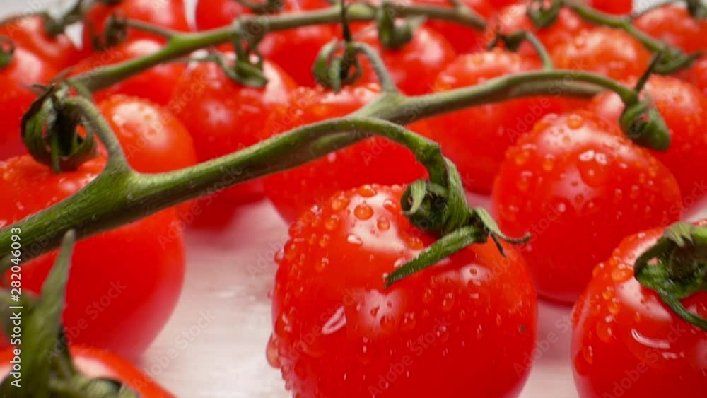 Beautiful juicy cherry tomatoes on a branch Beautiful juicy cherry tomatoes on a branch
