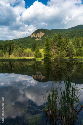 Fototapeta Naklejka Na Ścianę i Meble -  Landscape with lake and forest. Mountain range