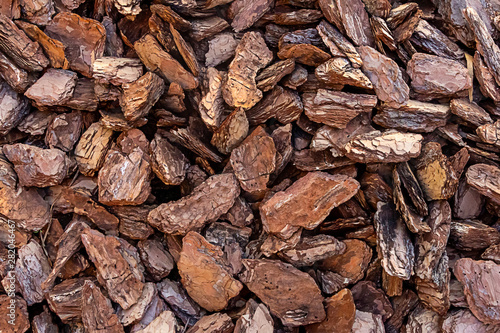 background pieces of bark design basis natural wooden chips dark brown pattern base