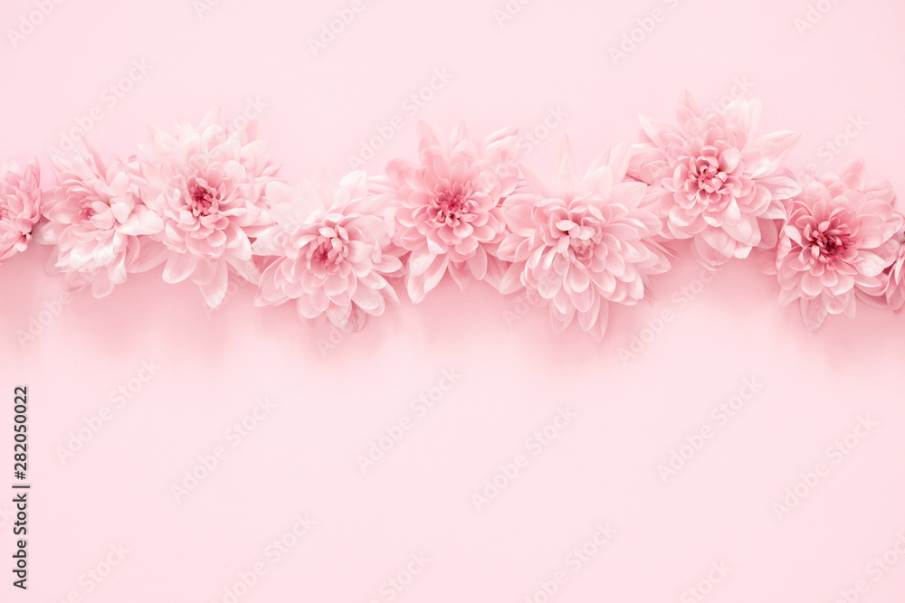 Beautiful flowers composition. Pink flowers on pastel pink background. Valentines Day, Easter, Happy Women's Day, Mother's day. Flat lay, top view, copy space