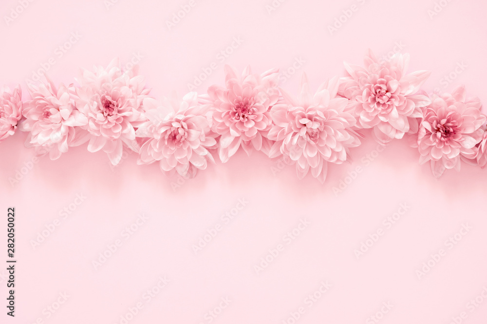 Beautiful flowers composition. Pink flowers on pastel pink background. Valentines Day, Easter, Happy Women's Day, Mother's day. Flat lay, top view, copy space Beautiful flowers composition. Pink flowers on pastel pink background. Valentines Day, Easter, Happy Women's Day, Mother's day. Flat lay, top view, copy space