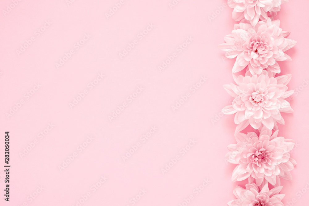 Fototapeta premium Beautiful flowers composition. Pink flowers on pastel pink background. Valentines Day, Easter, Happy Women's Day, Mother's day. Flat lay, top view, copy space