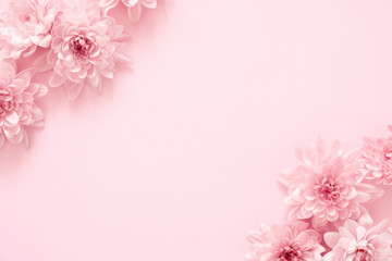 Beautiful flowers composition. Pink flowers on pastel pink background. Valentines Day, Easter, Happy Women's Day, Mother's day. Flat lay, top view, copy space