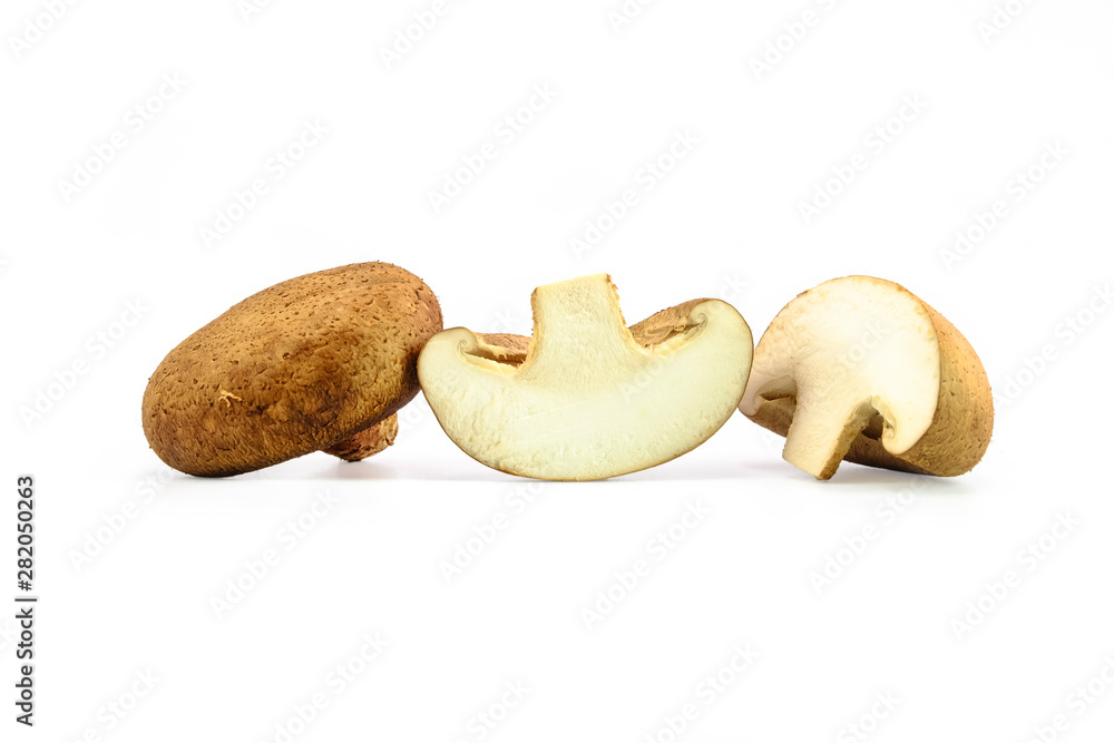 fresh mushroom on white background fresh mushroom on white background