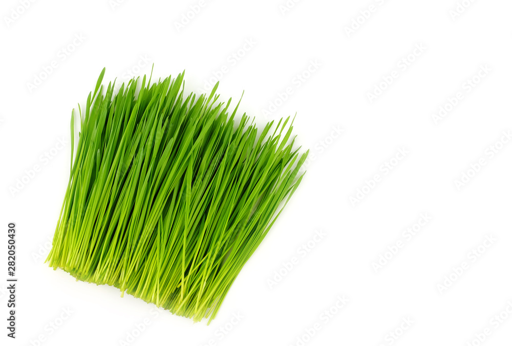 top view of pile wheat grass
