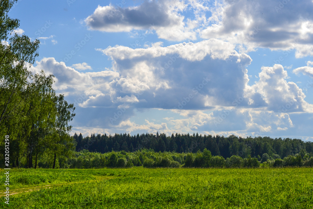 Beautiful landscape. Field of green grass tree. Blue sky with clouds. Russia, Moscow region Beautiful landscape. Field of green grass tree. Blue sky with clouds. Russia, Moscow region