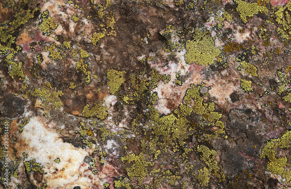 Stone texture with moss and lichen Stone texture with moss and lichen