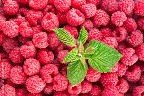 Raspberry. Fresh organic berries. Background from fresh raspberrys