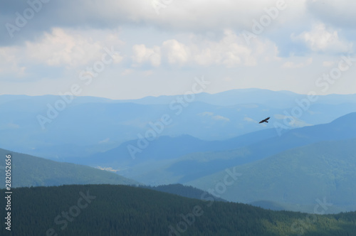 Panoramic view from Hoverla, Carpathian mountains, Ukraine. Horizontal outdoors shot