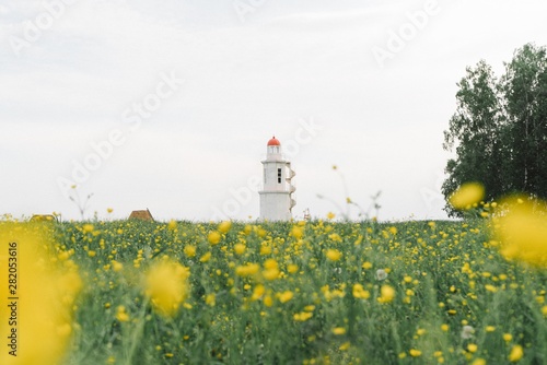 lighthouse in a flower field