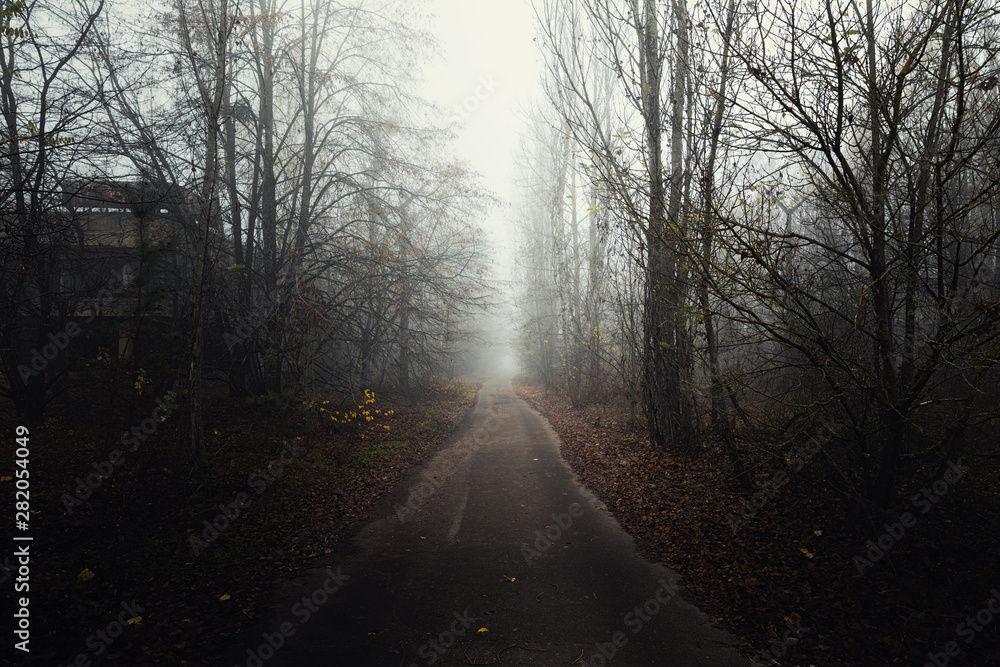 Dark abandoned road in the forest Dark abandoned road in the forest