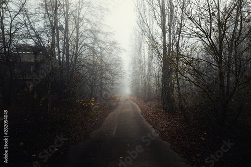 Dark abandoned road in the forest