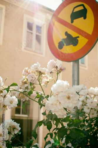 Retro no trafffic sign on street with rose flowers photo