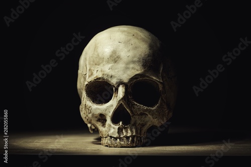 Human skull in dim light closeup photo