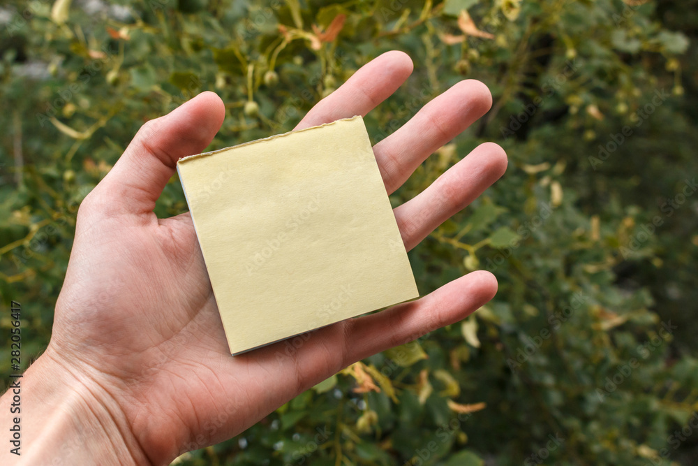 empty yellow sticker pack lies on the palm of a man, green trees in background. small sheet of paper in hand with copy space for text. Hand holding sticky note. empty yellow sticker pack lies on the palm of a man, green trees in background. small sheet of paper in hand with copy space for text. Hand holding sticky note.