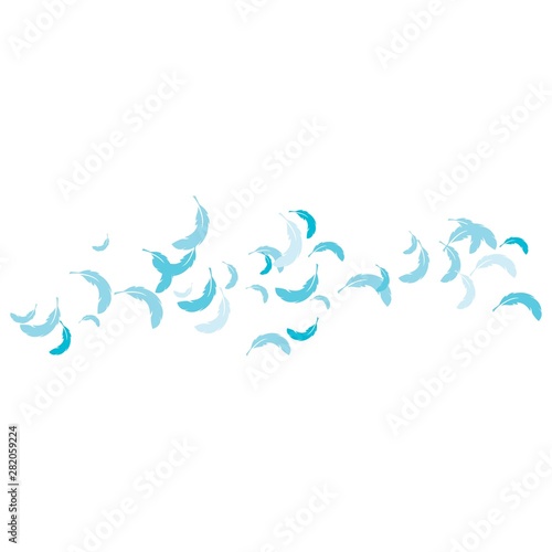 Feather background