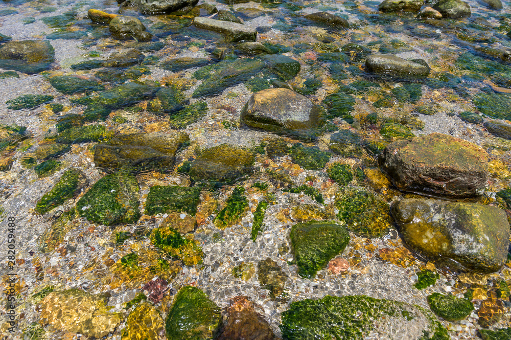 Crystal clear water with many rocks