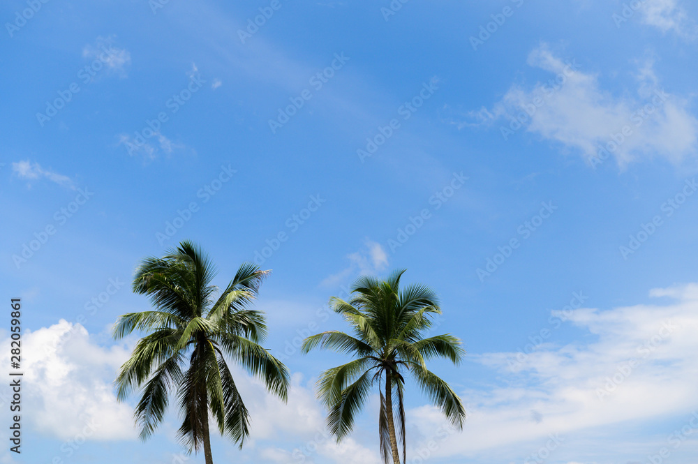 Summer beach in Thailand, blue ocean, sand, and sunshine