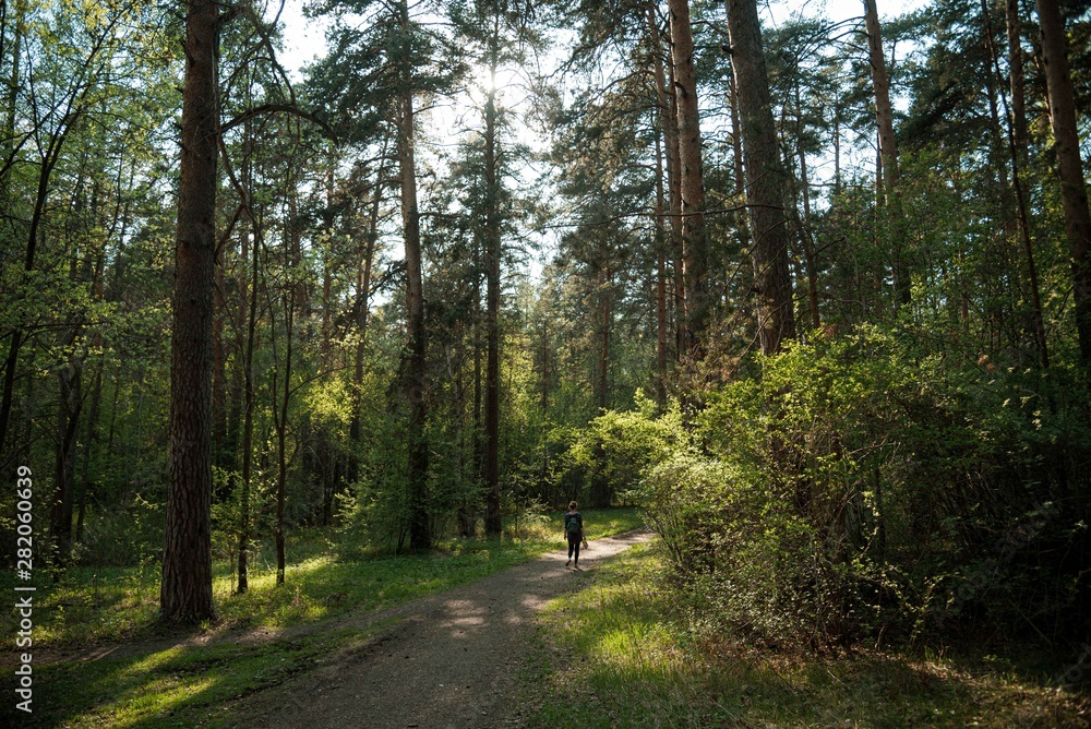 Girl in a summer pine forest