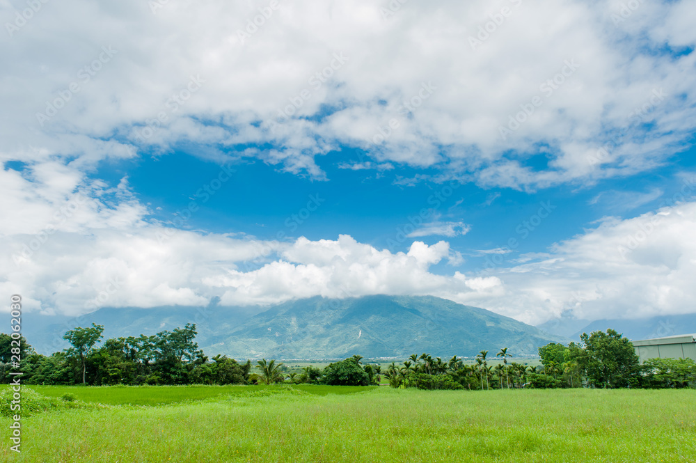 Landscape View Of Beautiful Rice Fields At Brown Avenue, Chishang, Taitung, Taiwan. (Ripe golden rice ear) Landscape View Of Beautiful Rice Fields At Brown Avenue, Chishang, Taitung, Taiwan. (Ripe golden rice ear)