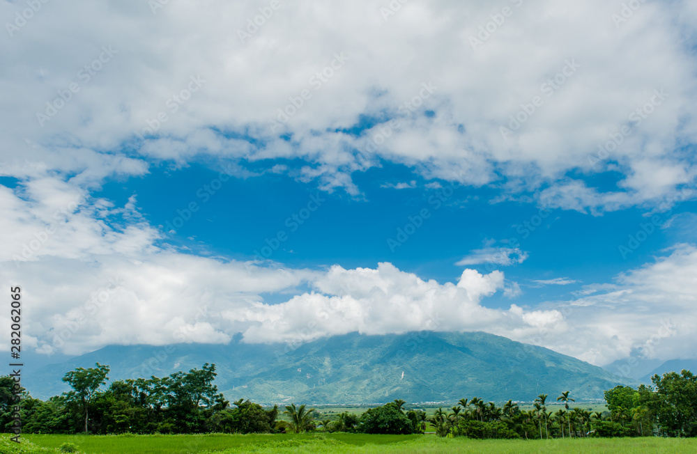 Landscape View Of Beautiful Rice Fields At Brown Avenue, Chishang, Taitung, Taiwan. (Ripe golden rice ear) Landscape View Of Beautiful Rice Fields At Brown Avenue, Chishang, Taitung, Taiwan. (Ripe golden rice ear)