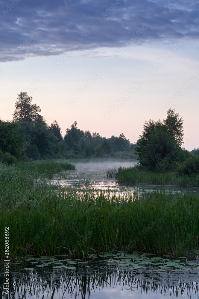 Sunrise in the forest by the lake. Morning by the lake. Morning fog by the lake.