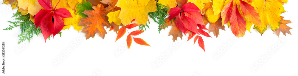 Natural fall leaves background - obrazy, fototapety, plakaty 