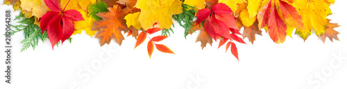 Natural fall leaves background