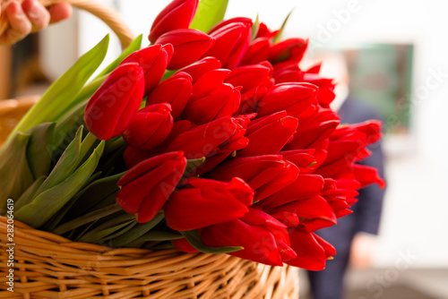 bouquet of red tulips in a basket