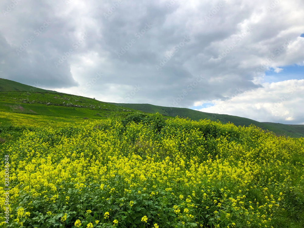 open landscape of green hills in the Galilee Israel