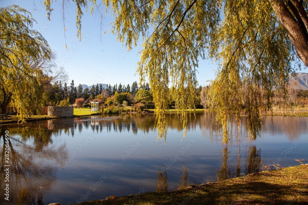 Fototapeta premium Beautiful lake at a South African wine farm