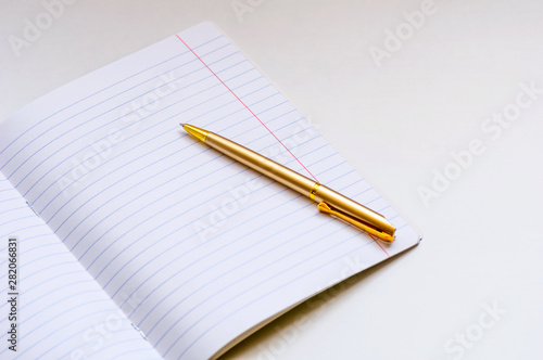 Wallpaper Mural Back to school concept. School notebook and golden ballpoint pen on a light background. Torontodigital.ca