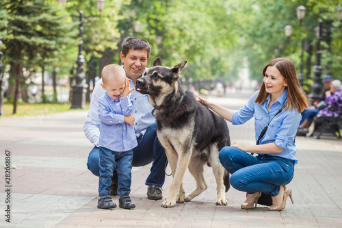 Family walk: mom, dad and son with his dog in a city park. A four-legged friend licks a boy. German shepherd is the best friend of the child. © izida1991