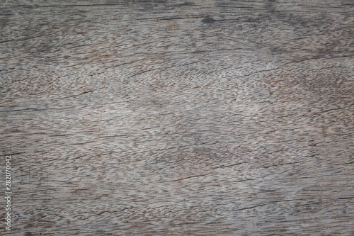 Wallpaper Mural Old wood plank texture background. Torontodigital.ca