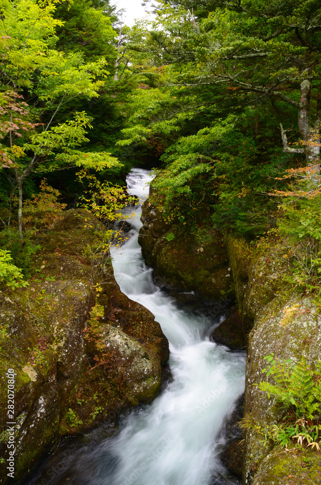 It is a Ryuto waterfall in Tochigi, Japan It is a Ryuto waterfall in Tochigi, Japan